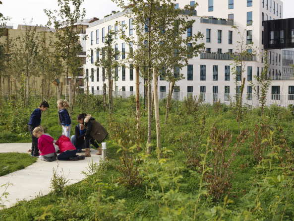 Schulneubau, Schule, Block, Beton, runde Ecken, gestapelt, Dachgarten, Banlieu, Chartier Dalix Architectes, cole Primaire Des Sciences et De La Biodiversit, terrassiert, Paris, Grundschule, Sporthalle, Sport, Spielplatz, David Foessel, Cyrille Weiner, Rive de Seine Boulogne-Billancourt