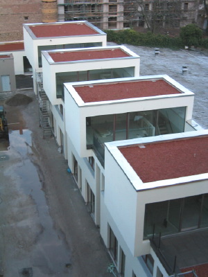 Wohnbauprojekt in Mainz fertiggestellt