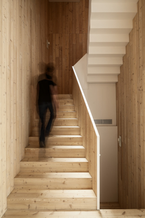 Spanien, Katalonien, Mauerwerk, Backstein, nachhaltig, geothermie, innenhof, wohnhaus, harquitects, barcelona, schmal, grn, energiekonzept, mikroklima, historisch, fassade, holzwolle, bestand