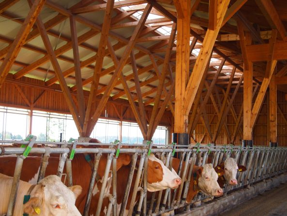 Holzbaupreis Salzburg 2015, Holzbaupreis, Holz, Auszeichnung, sterreich, Preis, award, Tirol, proholz, sps-architekten, LP architektur, Klaszkleeberger, Paul Schweizer, Martin Embacher, Volker Hagn, Schwarzenbacher Struber Architekten, Michael Walder, Blarer und Reber Architekten