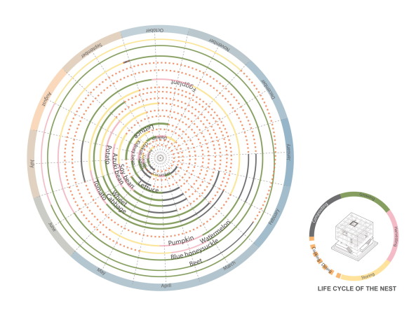 Garten, Gewchshau, Kengo Kuma, international, lixil, wettbewerb, nest we grow, nest, UC Barkeley, barkeley, Hsiu Wei Chang, Hsin-Yu Chen, Fenzheng Dong, Yan Xin Huang, Baxter Smith, Dana Buntrock, Mark Anderson, Takumi Saikawa, holz, holzverbindung, holzkonstruktion, selbstversorgung, china, taiwan, usa, transnational, pflanzen, japan, hokkaido