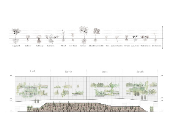 Garten, Gewchshau, Kengo Kuma, international, lixil, wettbewerb, nest we grow, nest, UC Barkeley, barkeley, Hsiu Wei Chang, Hsin-Yu Chen, Fenzheng Dong, Yan Xin Huang, Baxter Smith, Dana Buntrock, Mark Anderson, Takumi Saikawa, holz, holzverbindung, holzkonstruktion, selbstversorgung, china, taiwan, usa, transnational, pflanzen, japan, hokkaido