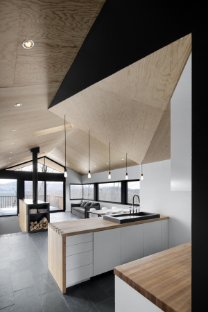 Kanada, quebec, montreal, naturehumaine, iknoe, archetyp, wald, berg, hang, wohnhaus, einfamilienhaus, Bolton Residence, Adrien Williams, David Dworkind, holz, beton, giebel