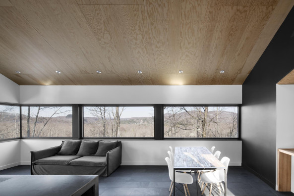 Kanada, quebec, montreal, naturehumaine, iknoe, archetyp, wald, berg, hang, wohnhaus, einfamilienhaus, Bolton Residence, Adrien Williams, David Dworkind, holz, beton, giebel