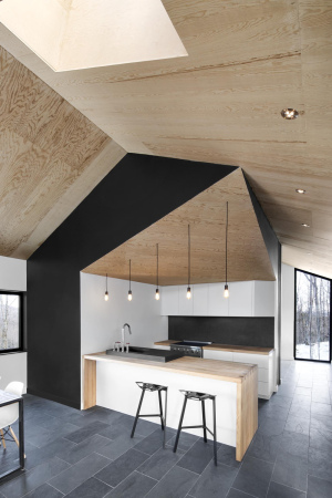 Kanada, quebec, montreal, naturehumaine, iknoe, archetyp, wald, berg, hang, wohnhaus, einfamilienhaus, Bolton Residence, Adrien Williams, David Dworkind, holz, beton, giebel