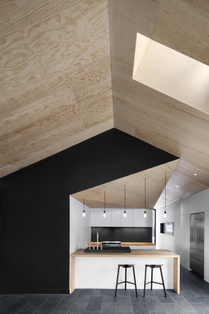 Kanada, quebec, montreal, naturehumaine, iknoe, archetyp, wald, berg, hang, wohnhaus, einfamilienhaus, Bolton Residence, Adrien Williams, David Dworkind, holz, beton, giebel