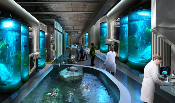 Taiwan, china, foster, partners, meilenstein, landmark, wahrzeichen, meeresmuseum, auarium, neubau, baubeginn, marine, museum, keelung, taipei, Hafen, hafenstadt