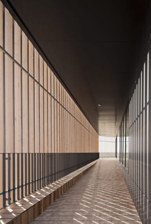 Lac du Der-Chantecoq, Lac du Der, Casino, Casino Joa, Frankreich, France, Data Architectes, Kasino, Spiel, Holz, wood, Lamellen, Glas, glass, Beton, concrete, Fassade, Stelzen, stilt, Box, Bar, See, timber