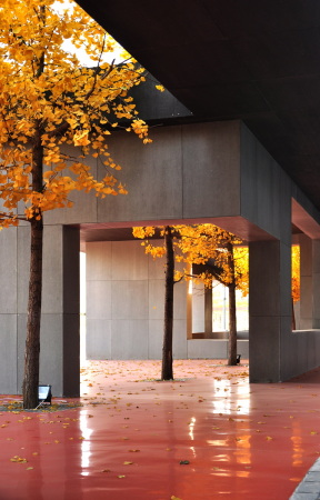 Gu Yunduan, Stadion, Neubau, Beton, kantig, Dogma, Hardcore, Sport Beijing, Peking, Interval Architects, 1/2 Stadium, Half Stadium, Interval Architects, refurbishment, renovation, school, sport, sports center, stadium, Sportlich, Laufbahn, Tischtennis