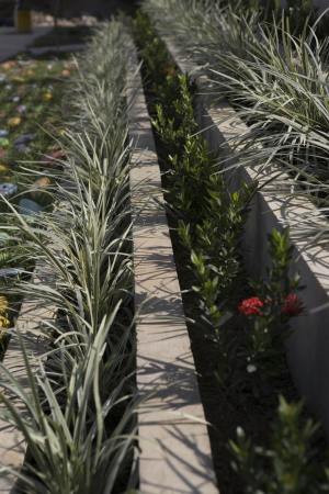 Turbo, Kolumbien, Pueblo Bello, House of Memory and Community Space, Taller Sintesis, Angelica Gaviria, Antioquia Uraba, Beton, concrete, Symbol, Erinnerungsst�tte, Begegnungsst�tte, classroom, Klassenraum, Holz, wood, Licht, light, Rampe