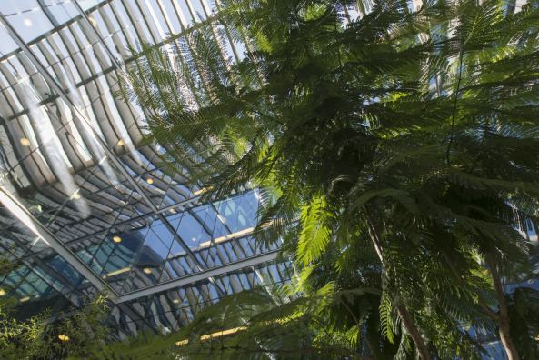 Foster + Partners; New City Hall; Buenos Aires; Argentinien; Buenos Aires Ciudad Casa de Gobierno; Betonwelle; Betondach; Banco Ciudad design; Lord Foster; David Summerfield; Rathaus; Tonnengew�lbe;