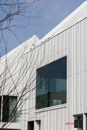 Buro II & Archi+I, Belgien, Koksijde, Strand, Haus, Wohnhaus, housing, house, wie, Fassade, facade, Aluminium, Satteldach, pitched roof, Dnen, dune, purity