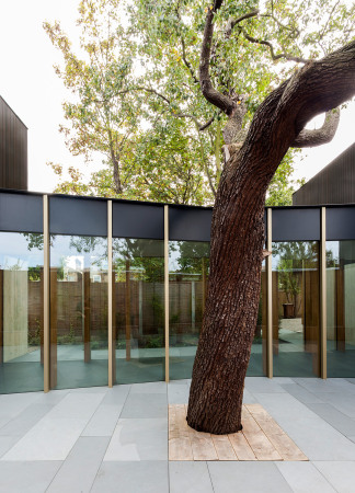 London, Edgley Design Architects, Jake Edgley, Denys Lasdun, Nroman Foster, Beton, Concrete, Architekten Haus, RIBA; RIBA Award, Fassade, Holz, Royal National Theatre, Dulwich, Experiment aus Beton, Pear Tree House, Birnenbaum, Wohnexperiment, Nachhaltigkeit, backyard, Jake Edgley, Bauherr, Schner Wohnen, best architects,