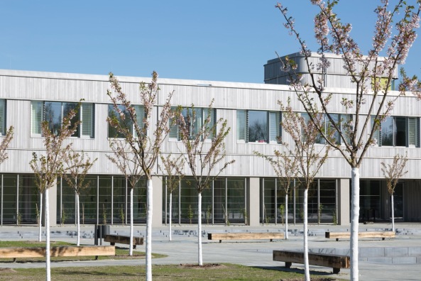 Holzlaube, Florian Nagler Architekten, Freie Universitt Berlin, Neubau, Erweiterunsgbau, Kleine Fcher, Silberlaube, Rostlaube, Berlin, Mnchen, Baunetz, Baunetz-Meldung, Bibliothek, Lesen, Arbeitspltze, Studieren in Berlin, Studium in Berlin, Studenten, Erweiterungsbau der FU Berlin, Architektur, archicture, unigebude, Seminare, Fassade, facade, Zedernholz, Holz, wood, Campus, Geist, Lernen, Grundsteinlegung, Richtfest, Erffnung, Erziehungswissenschaften, Psychologie, Dahlem-Dorf, Dahlem, Westberlin, Institutsneubau, Institut fr Psychologie, Lernlandschaft, FU Berlin, Quadratmeter