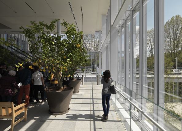 Turin, Italien, Renzo Piano, Intesa Sanpaolo, Neubau, 2015, Fertigstellung, Hochhaus, Turm, tower, highrise, Fassade, Glas, glass, facade, Garten, garden, Verwaltung, office, Bro, gemischte Nutzung, mixed use, variable Nutzung, Infrastruktur, Wintergarten, winter garden, Doppelfassade, double skin facade