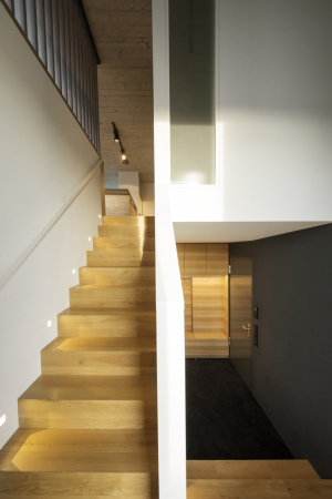 BF 30, Baugruppe, Stuttgart, Killesberg, Wohnungsbau, Wohnen, housing, Mehrgenerationenwohnen, Fassade, Park, parc, Bottega + Ehrhardt Architekten, appartment, Eternitplatte, Loggia, Balkon, Dachterrasse