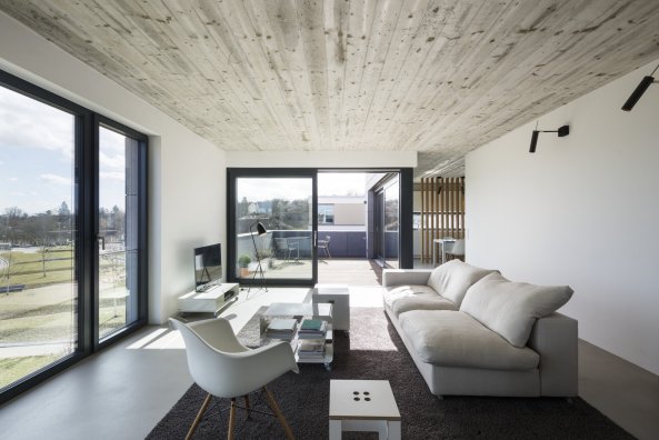 BF 30, Baugruppe, Stuttgart, Killesberg, Wohnungsbau, Wohnen, housing, Mehrgenerationenwohnen, Fassade, Park, parc, Bottega + Ehrhardt Architekten, appartment, Eternitplatte, Loggia, Balkon, Dachterrasse