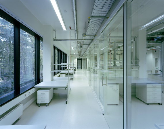 Leon Abraas, Heinle, Wischer und Partner, Freie Architekten, Max-Planck-Institut, 2015, Fertigstellung, Wissenschaft, Forschung, Neubau, Niederlande, netherlands R&D, research, design, netherlands, new building, extension,  Wiegerinck, Psycholinguistik, Sprache psychology, linguistics, Laboratorien, Labor, labs, Max-Planck-Gesellschaft, Till Behnke, Steffen Walter, Molekularbiologische Labore, Sprachlabor, dutch, Fassade, printed fassade, modern, Glasfassade bedruckt, Nijmegen, Wettbewerb 2011, Donders Centre for Cognitiove Neuroimaging, Radboud university, Wald, Wldchen Bume, Park, clean, modern, precise