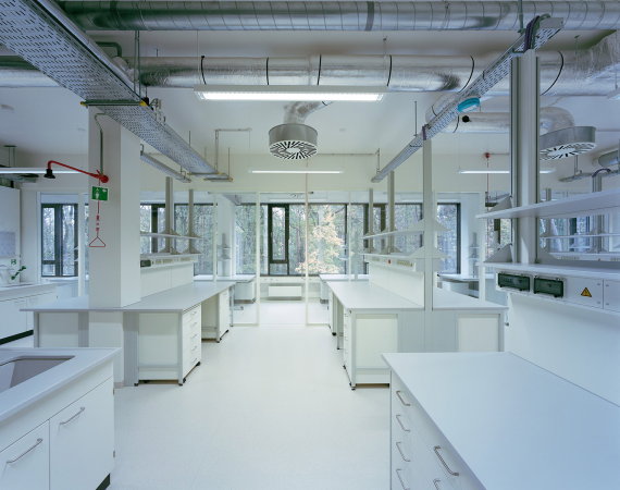 Leon Abraas, Heinle, Wischer und Partner, Freie Architekten, Max-Planck-Institut, 2015, Fertigstellung, Wissenschaft, Forschung, Neubau, Niederlande, netherlands R&D, research, design, netherlands, new building, extension,  Wiegerinck, Psycholinguistik, Sprache psychology, linguistics, Laboratorien, Labor, labs, Max-Planck-Gesellschaft, Till Behnke, Steffen Walter, Molekularbiologische Labore, Sprachlabor, dutch, Fassade, printed fassade, modern, Glasfassade bedruckt, Nijmegen, Wettbewerb 2011, Donders Centre for Cognitiove Neuroimaging, Radboud university, Wald, Wldchen Bume, Park, clean, modern, precise