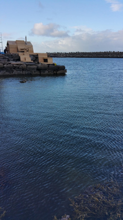 Kunst statt Kabeljau; Sauna; Norwegen; Studenten; Scarcity and Creativity Studio (SCS); Oslo School of Architecture and Design (AHO); Art and Culture Production Centre; Lofoten; The Bands;