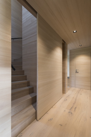 sterreich, Zell am See, Einfamilienhaus, single family house, schwarz, Holz, Fassade, Umbau, Ersatzbau, lasiert, Latten, Bretter, wood, Austria, 2015, Volker Wortmeyer, balcony, Kamin, Haupstrae, Zeller See, LP Architekten, Sdseite, Wildbachverordnung, lake, Block, Monolith, monolithisch, geschlossen, monochromatisch,