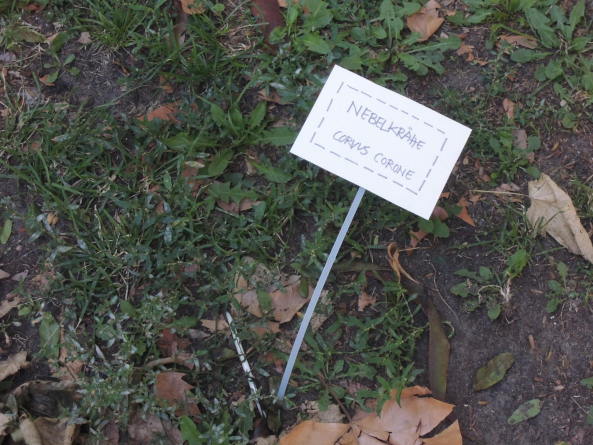 Alte Mitte, neue Liebe, Dialogverfahren, Neubau, Umbau, Platzgestaltung, Alex, Fernsehturm, historische Mitte, Stadtschloss, Wiederaufbau. Marx-Engels-Forum, Neugestaltung, Karten, Map, Kartierung, Mapping, Untersuchung, Regula Lscher, Jrg Stollmann, Dagmar Pelger, Katharina Hagg, TU Berlin, Studenten, Studierende, Prsentation, Stadtgeschichte, Alex, 2015, Berlin, Innenstadt, Baukultur,