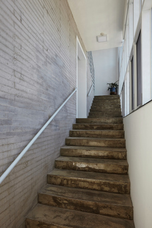 smart architecture; Lotuseffekt; Lotusbl�te; Perforierung; Stahlblech; Korea; Daegu; Lotus House; Neubau; Moon Jung sik