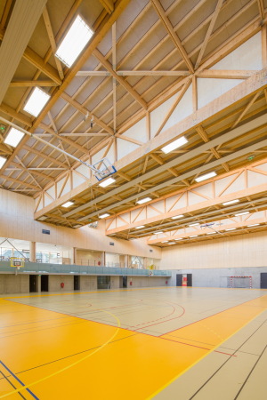 Sporthalle, 2015, Fertigstellung, Neubau, Holzfassade, Frankreich, France, Konstruktion, Holzkonstruktion, Dmmung, Stroh, natrlich, Hacine Cherifi gymnasium, Rillieux-La-Pape, Tectoniques Architectes, ko, Marcel Cerdan, Boxer, Astroballe, Lyon, Groraum, sports, new building, Vorort,11h45, Tectoniques Architects
