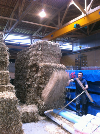 Sporthalle, 2015, Fertigstellung, Neubau, Holzfassade, Frankreich, France, Konstruktion, Holzkonstruktion, Dmmung, Stroh, natrlich, Hacine Cherifi gymnasium, Rillieux-La-Pape, Tectoniques Architectes, ko, Marcel Cerdan, Boxer, Astroballe, Lyon, Groraum, sports, new building, Vorort,11h45, Tectoniques Architects