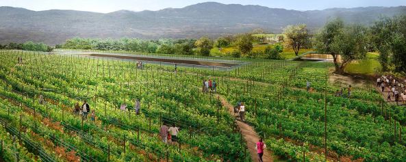 Shopping Mall, Einkaufszentrum, Bauen im Bestand, Dachlandschaft, Obstplantage, grtes begrntes Dach der Welt, Ingenieursleistung, Weinberg, grnes Dach