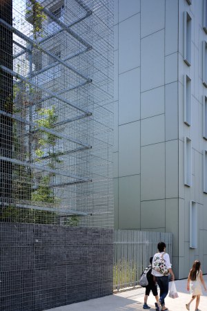 Kalkstein, limestone, substation, Transformatoren, Bambus, Maschendrahtkrbe, zweite Hlle, Stahl, Bestand, Verteilerstation, Bambus, Bambuswald, Lyon, Confluence, rue royale architectes