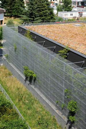 Kalkstein, limestone, substation, Transformatoren, Bambus, Maschendrahtkrbe, zweite Hlle, Stahl, Bestand, Verteilerstation, Bambus, Bambuswald, Lyon, Confluence, rue royale architectes