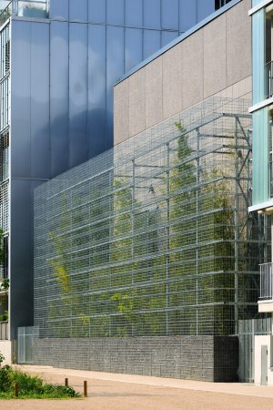 Kalkstein, limestone, substation, Transformatoren, Bambus, Maschendrahtkrbe, zweite Hlle, Stahl, Bestand, Verteilerstation, Bambus, Bambuswald, Lyon, Confluence, rue royale architectes