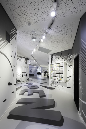 Schwarzenbach, Spitzdach, pointed roof, Satteldach, gabled roof, Erika Fuchs, translator, Donald Duck, Walt Disney, Dominik Burkard, Karlsruhe, Gauben, weier Putz,  Comic-Museum, Alststadt, Traufe, dormer window