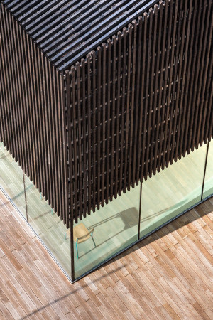 Atelier Zndel Cristea, AZC, Paris, urban barn, Universit Paris Descartes, Schuppen, Holz, Universitt, Hrsaal, Innenhof