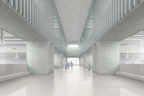 Departement Biomedizin, Basel, Life-Science-Campus, Schllemtteli, Biozentrum, Universittsgebude, Wettbewerb, Caruso St John Architects, St. Johann, Morger + Dettli Architekten, Nissen Wentzlaff Architekten, Markus Schietsch Architekten, Krischanitz, Harry Gugger