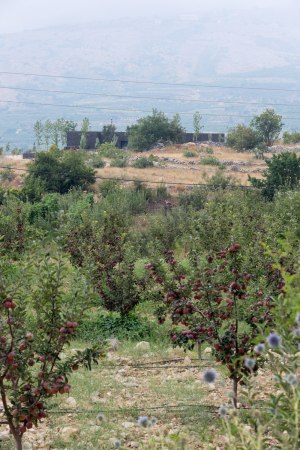 Beton, feink�rnig, Libanon, Bekaa, Gebirge, concrete, Youssef Tohme, Lebanon, Akoura, Villa, mountain, lebanese mountains, u-f�rmig, courtyard, long terrasse, Terrasse, Plattform, platform