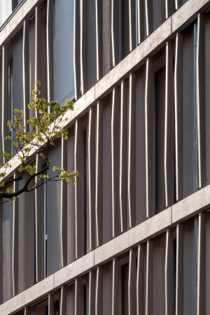 Kassel, Reginastrae, Wohnungsbau, foundation 5+ architekten, Vorderer Westen, Grnderzeit, Geschosswohnungsbau, Blockrand, Medlungen, Architektur, Neubau