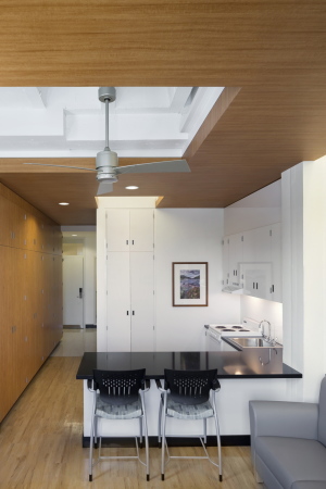 Holz, Natur, nature, countryside, wood, Award, American Institute of Architecture, Berufsverband, USA, Sozial, Wohnungsbau, Wohnungsfrage, housing, housing crisis