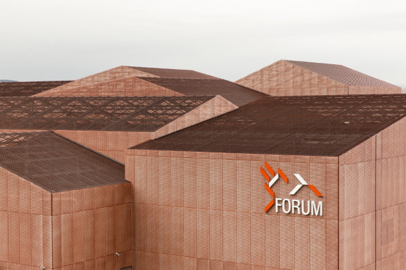 Kupferpigment, Metallmaschen, cladding, metal, cupper pigment, Manuelle Gautrand, Einzelelemente, five elements, Sporthalle, sports hall, Kultur, Dreilndereck, Three borders region, Elsass, Alsace