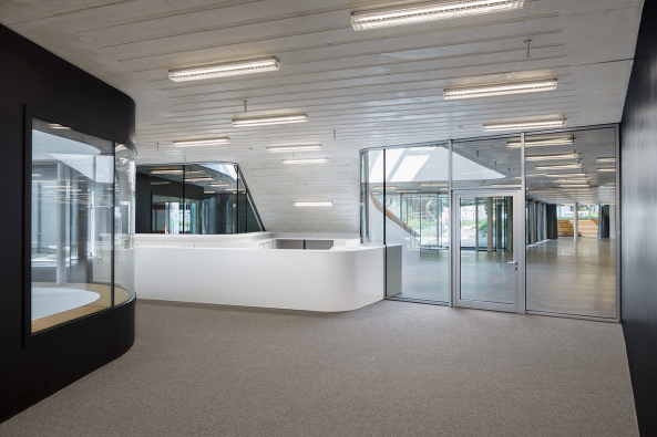 Universit�tsgeb�ude, Zeppelin Universit�t, informelle Begegnungen, Friedrichshafen, Campusgeb�ude, visuelle Bez�ge, komplexe Erschlie�ung, Erschlie�ungszonen, Kaserne, Bestandsbau, Patios, Luftr�ume, Oberlichter,  Glasfassaden, Treppe, baunetz, unigeb�ude, campusneubau,