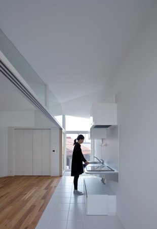 Wohnhaus in Japan, Besuch in Wien