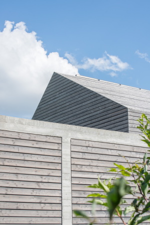 Brettverschalt im Neckartal; Einfamilienhaus in Esslingen; msm Architekten Innen Architekten; L�rchenholz; Eichenholz; Rohstahltreppe; Faltschiebel�den; brettgeschalter Sichtbeton;