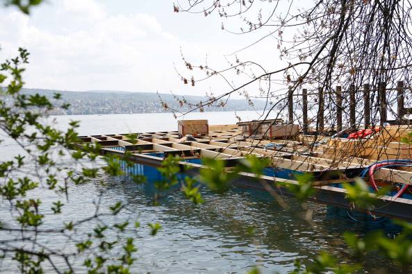 Pavilion of Reflections von Tom Emerson in Zrich, Manifesta, Studio Tom Emerson, 6a architects, Christian Jankowsky, Manifesta, Architektur, Kunst, ETH Zrich, What People Do for Money: Some Joint Ventures, Kino, Bar, Schwimmen in Zrich, Zrichsee, Biennale fr Kunst, Limmat, Zrich Tourismus, Schweiz, Holz, Holzkonstruktion, Fachwerk, Stahlrahmen, schwimmende Plattform, Utopie aus Holz, Baunetz, Baunetzmeldungen, Architekt, Studieren in Zrich, Geld, Sonnendeck, Sommer, Temporre Bauten, Pavilion, pavillon