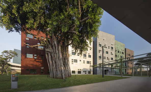 Australische Botschaft, Australien Embassy, Neubau, Compound, Complex, Botschaftsgende, 2016, Politik, Asien, Asia, Australian Embassy, Jakarta, Denton Corker Marshall, John Gollings, Schwimmbad, Pool, Housing, Wohnhuser, Chancery