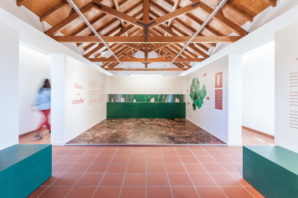 portugal, museum, agrar, landwirtschaft, geschichte, halle, ausstellung, ausstellungsarchitektur, lndlich, scheune, Francisco Nogueira, Alentejo, Tourismus, Holz, dachstuhl, satteldach, regional, typisch, sanierung, umbau, dc.ad, Duarte Caldas, lissabon, reise, mistgabel, mhdrescher