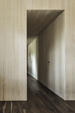 house, Haus, Holz, Beton, Pavillon, Garage, Wohnhaus, Gallerie, reprsentativ, Fenster, Natur verschmelzen, LP Architektur, Albrecht Imanuel Schnabel, concrete, timber