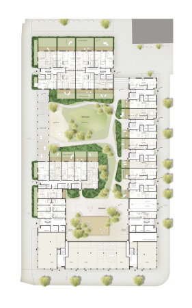 Block am Park, 3. Preis: Collignon Architektur und Design