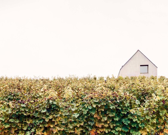simon oberhofer, ulrike tinnacher, tinnacher, weingut, winzer, winzerfamilie, dmmbeton, isolierbeton, wohnhaus, einfamilienhaus, beton, gefrbter, eichenholz, einbaumbel, einbauschrnke, schiebetren, dielen, neubau, keller, weinkeller, gewlbekeller, kupfer, introvertiert, haus t, steiermark, archaik, purismus