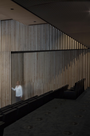 Alumium, Glas, Gitter, gitter, Eisberg, iceberg, baunetz, appeasement, apaisement, sanft, soft, discrete, Vanve, Conservatory, Konservatorium, souterrain, stage hall, multi purpose, Multifunktion, Architektur, Jean François Renaud, �ric Babin